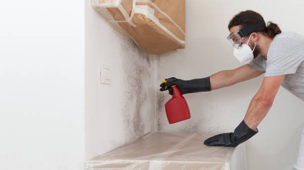 Professional Bathroom Mold Removal technician working in Saint James, NY
